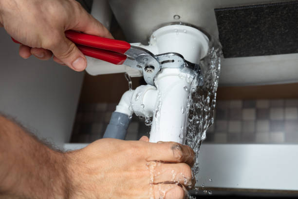 Best Flood damage cleanup  in Broadway, VA
