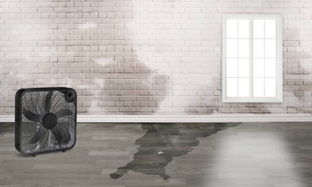 Best Commercial water damage restoration  in Broadway, VA