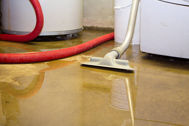 Best Flood damage cleanup  in Broadway, VA