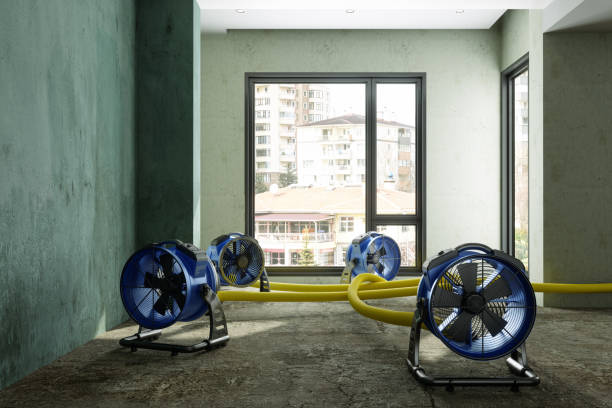 Sewage cleanup and water damage restoration in Broadway, VA